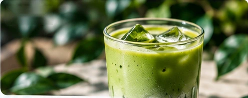 Iced matcha drink surrounded by greenery